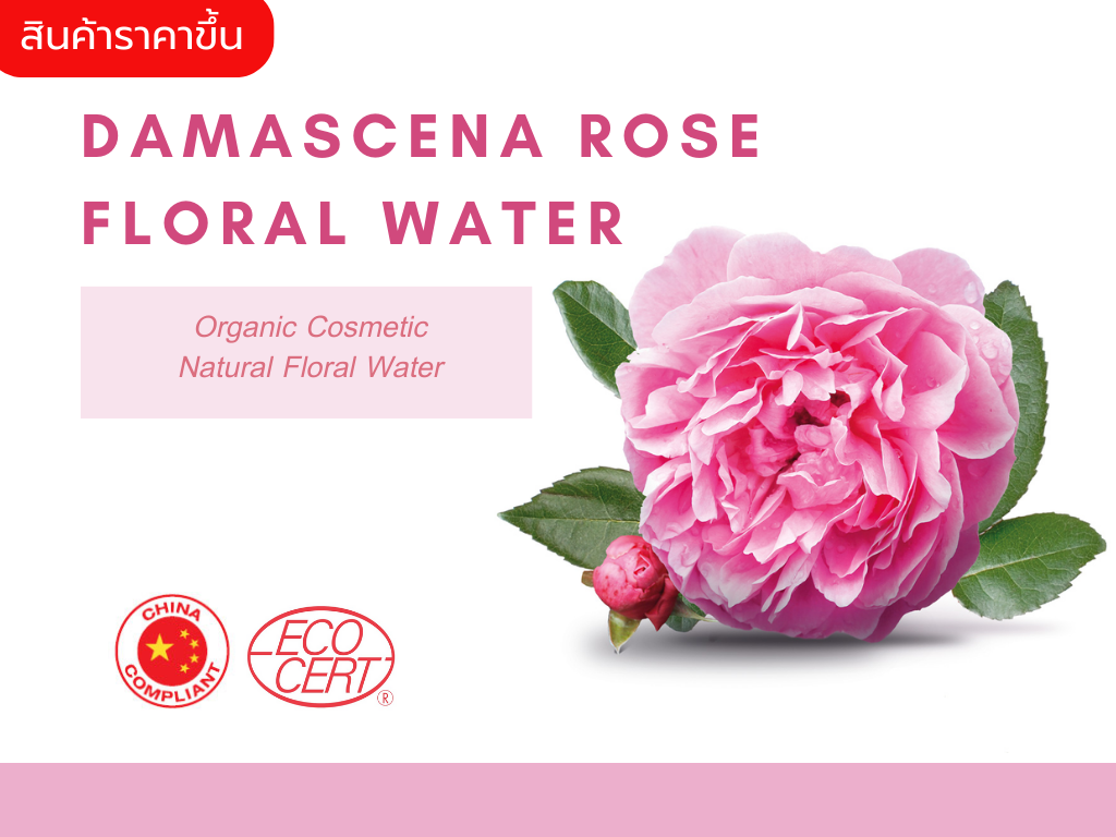 Damascena Rose Floral Water น้ำดอกกุหลาบดามัสเซน่าออแกนิค จากประเทศฝรั่งเศส ช่วยฟื้นฟูและบำรุงผิวพรรณให้นุ่ม ชุ่มชื้น